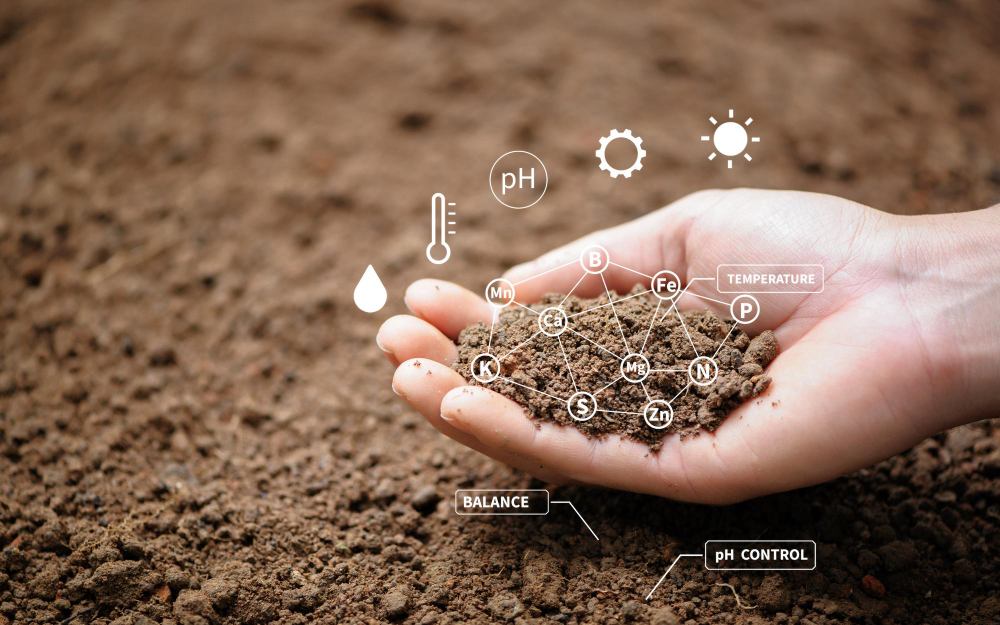  Botanivaalc  Soil Health Solutions